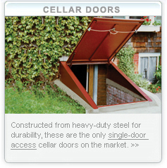 Basement Cellar Doors Installation